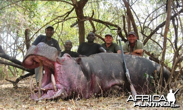 Hunting Hippo in Tanzania