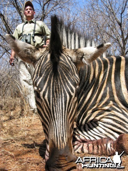 Hunting Zebra in South Africa