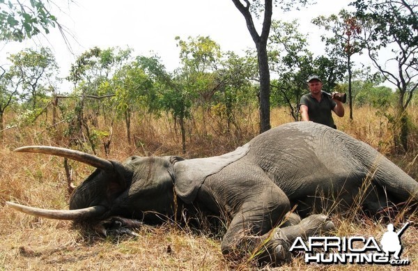 Hunting Elephant in Tanzania