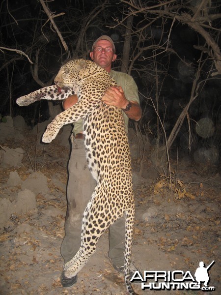 A good Leopard over 7 feet hunted in Tanzania