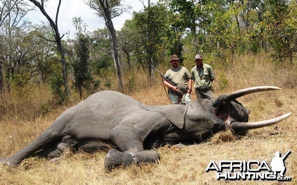 1,80 meter - 25 kg Elephant hunted in tanzania