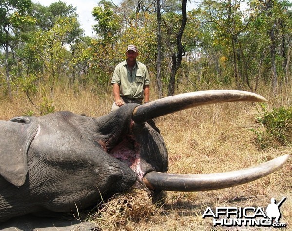 1,80 meter - 25 kg Elephant hunted in tanzania