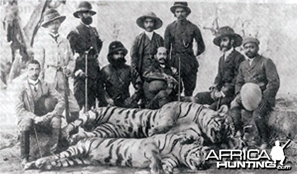 Hunting party in India with five Tigers