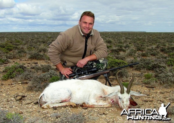 12&quot; White Springbuck taken near Beaufort West, South Africa