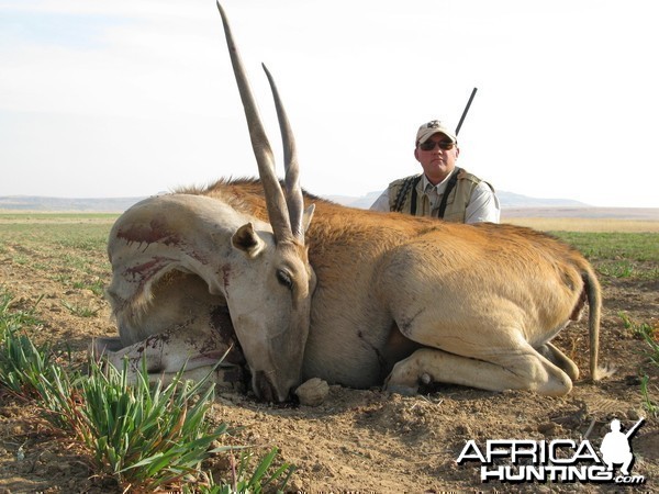 Eland cow cull at 420 meters