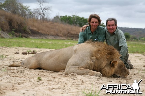 Lion Tanzania