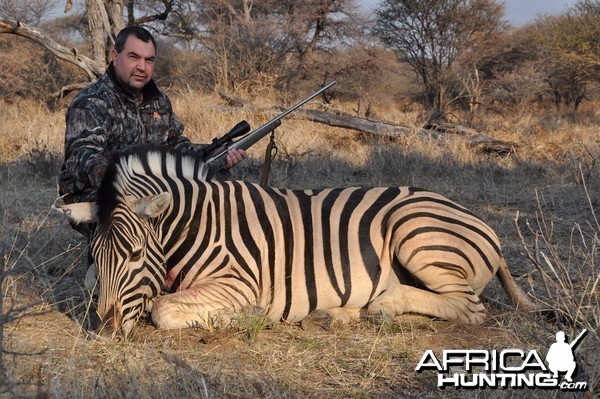 Burchell Zebra Namibia Hunt