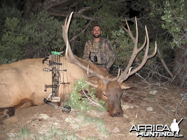 Elk Hunt Arizona