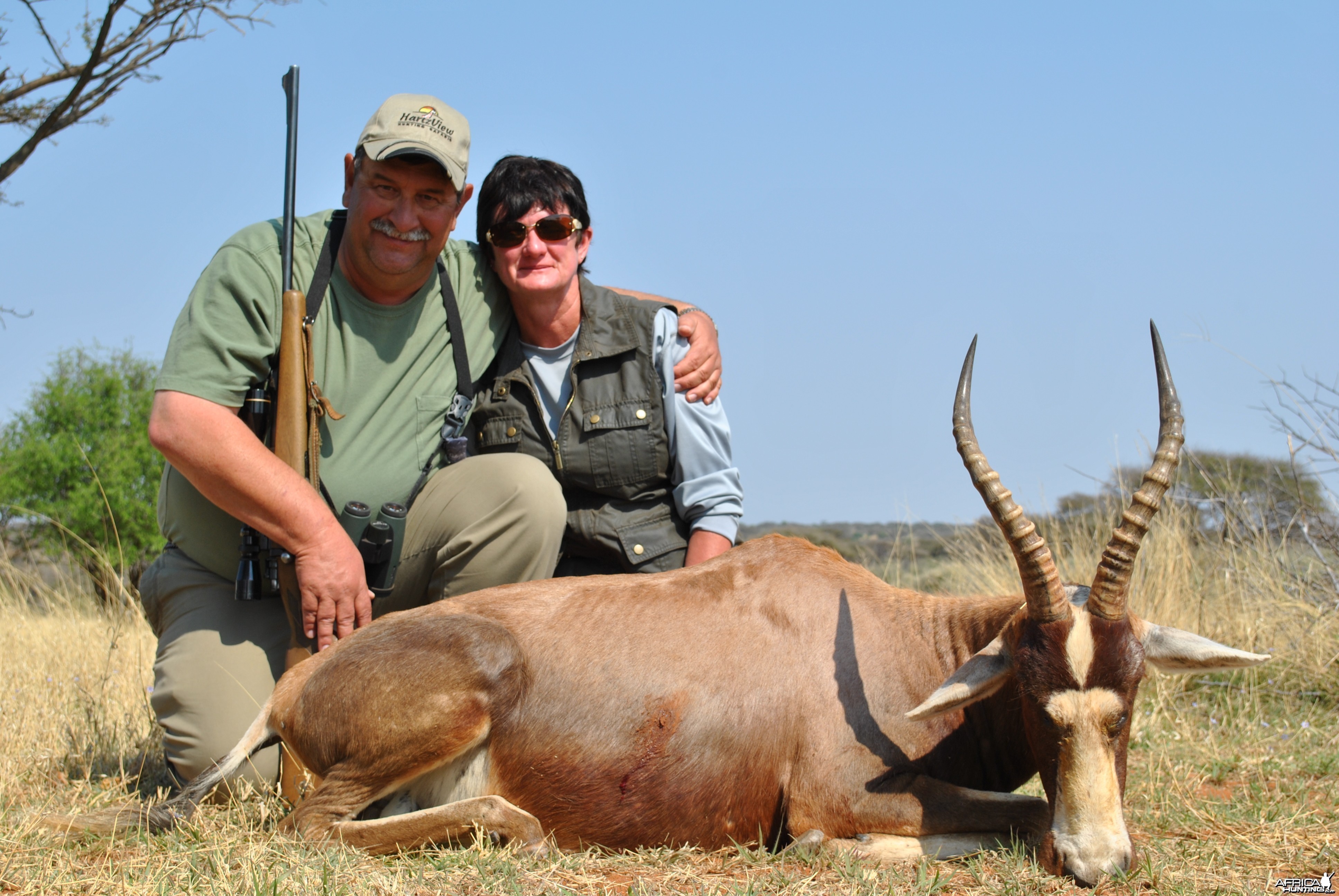 Blesbok