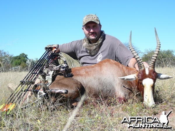 Blesbok with bow