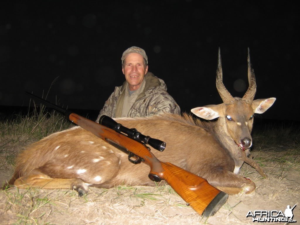 Bushbuck South Africa