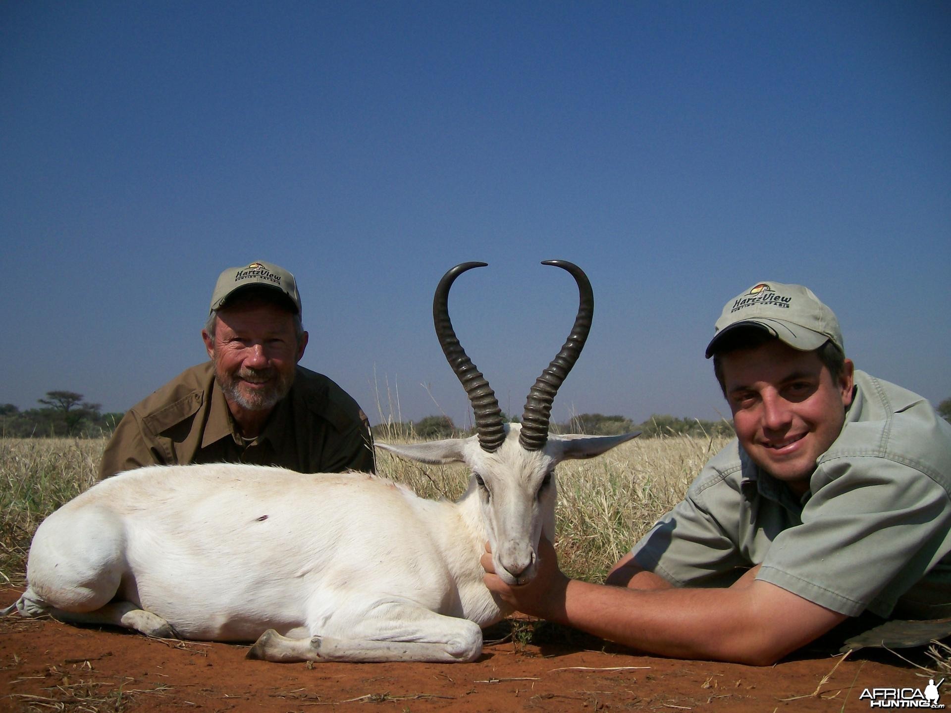 White Springbok Hunt at HartzView Hunting Safaris
