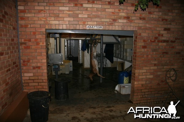 Skinning Room at Butchery