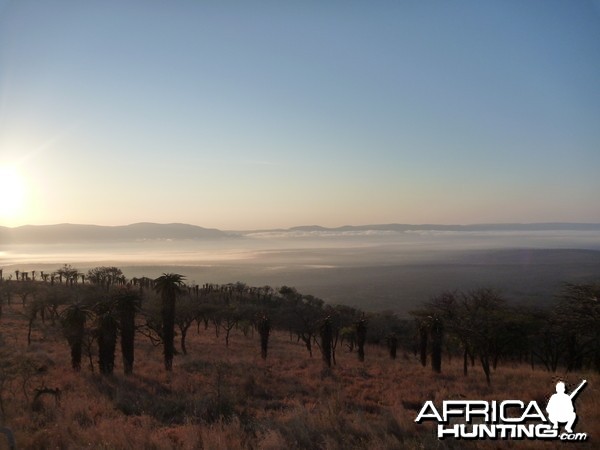 Leeukop Sunrise