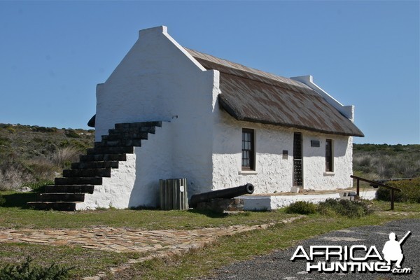 Cape Architecture