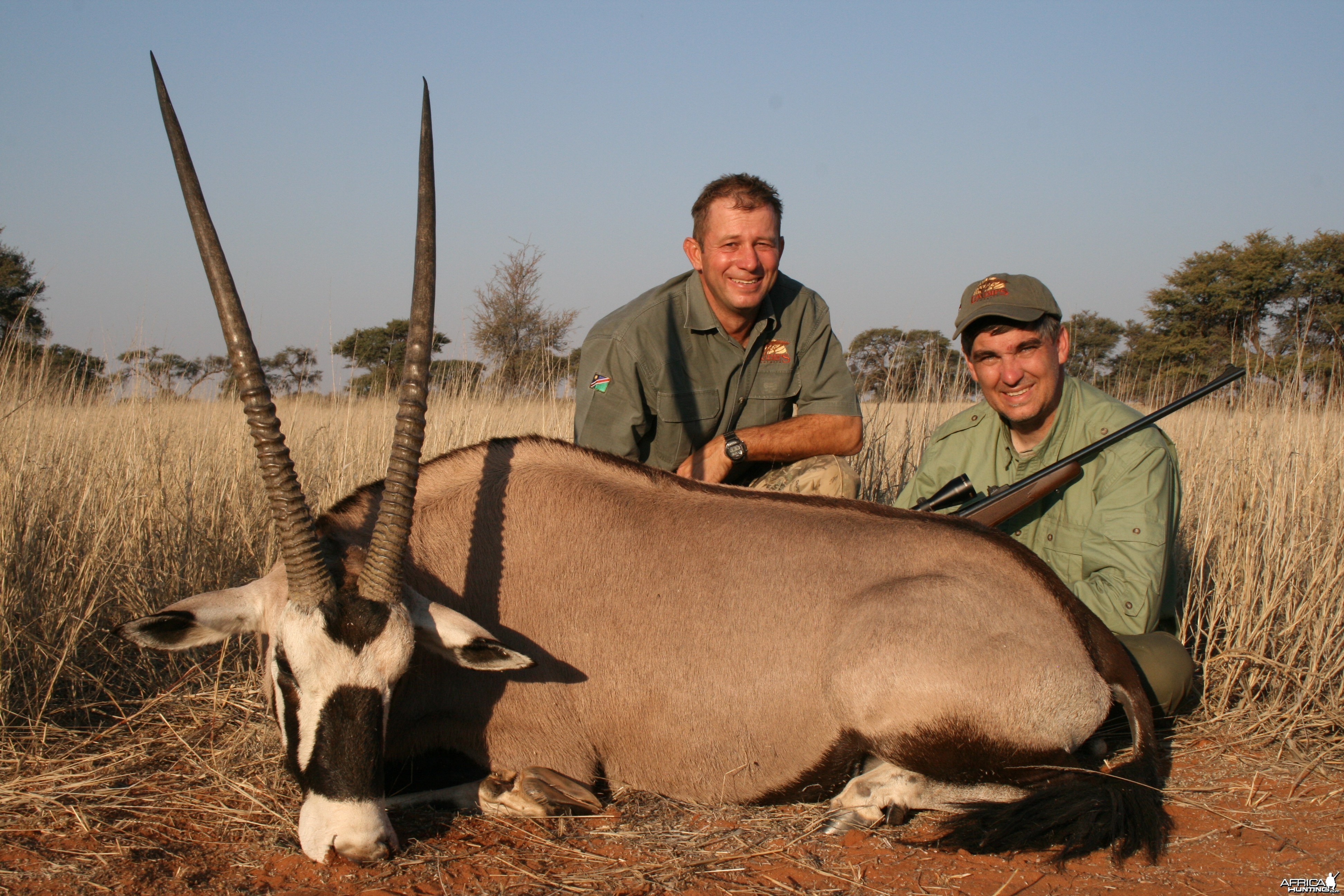 Gemsbok, Namibia