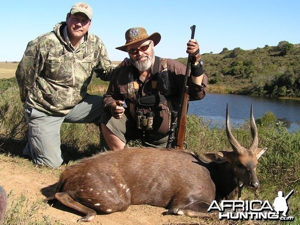 Bushbuck South Africa