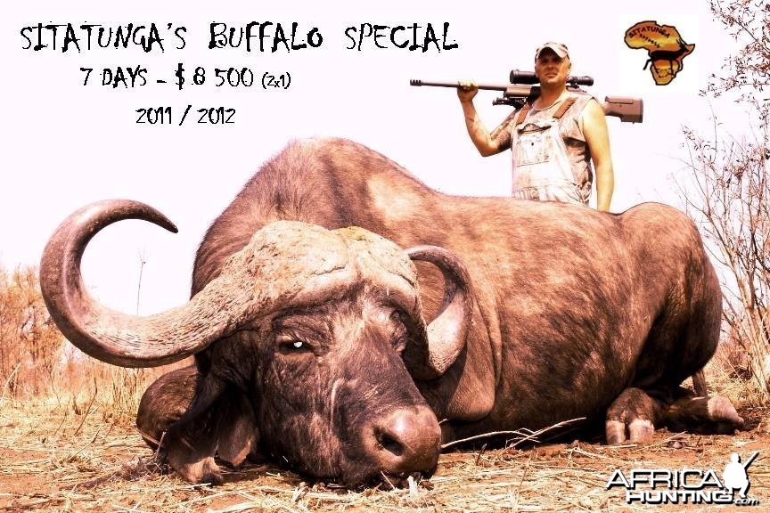 BUFFALO SPECIAL AH