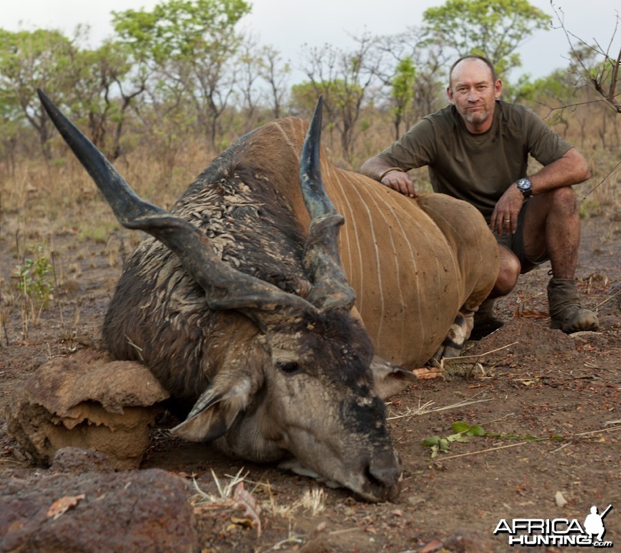 Lord Derby Eland hunted in CAR with CAWA