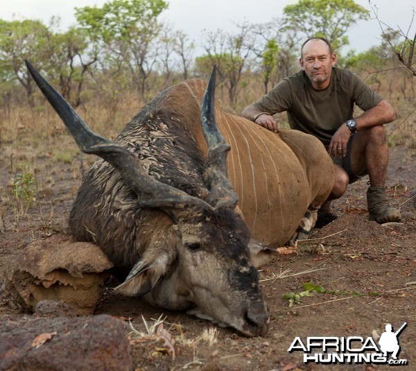 Lord Derby Eland hunted in CAR with CAWA