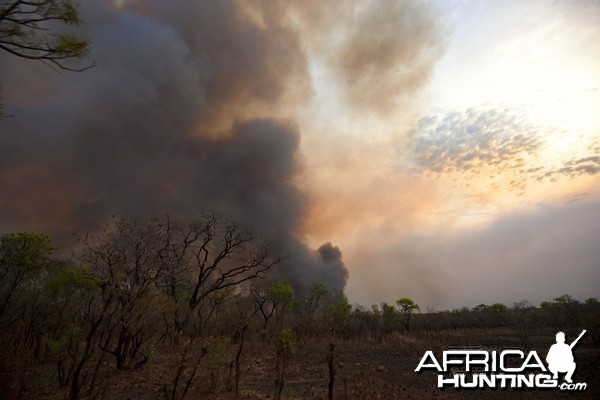 Smoke from grass fire in CAR