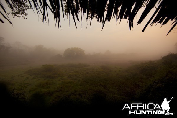 Thick mist from machan