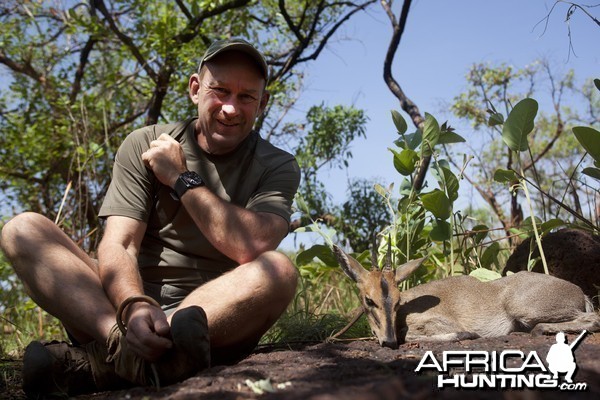 West African Bush Duiker