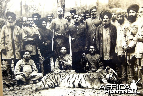 Hunting Tiger in India