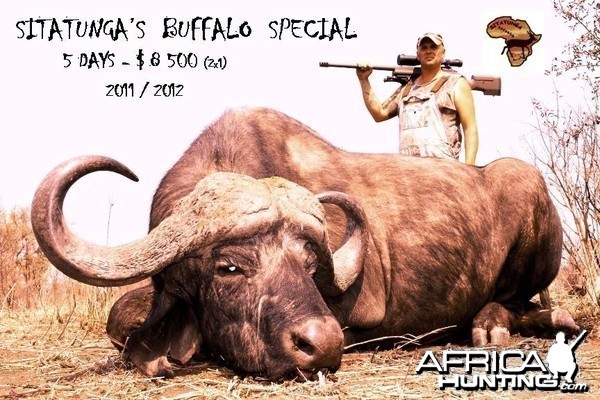 BUFFALO SPECIAL AH