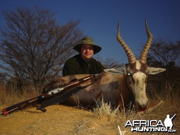 Bleshbuck Limpopo