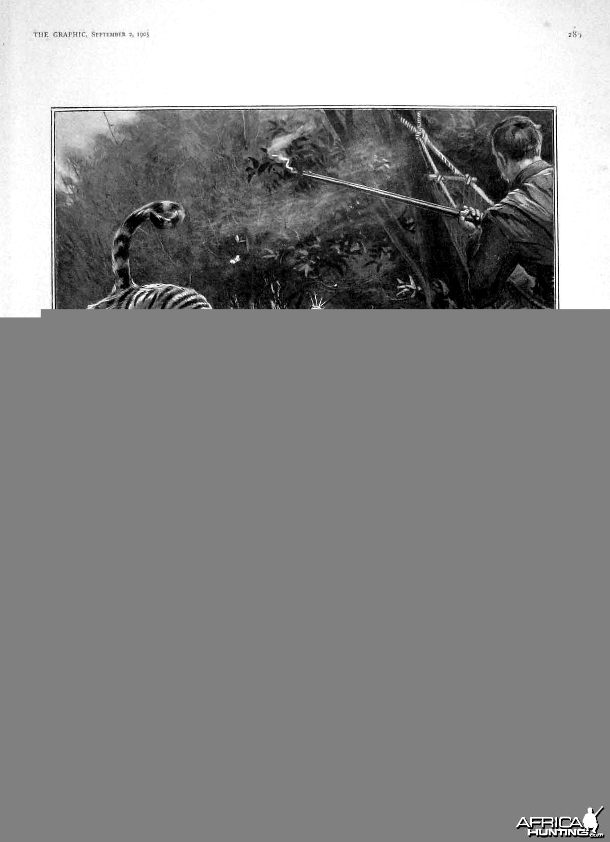 Tiger shoot in Central India