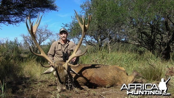 Red Deer Hunt in La Pampa Argentina