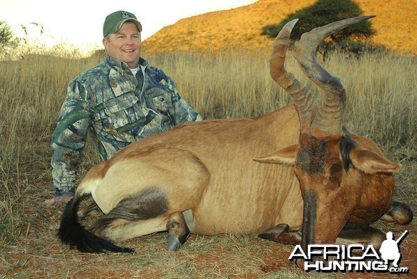 Hartebeest Hunt with Liam Urry Safaris