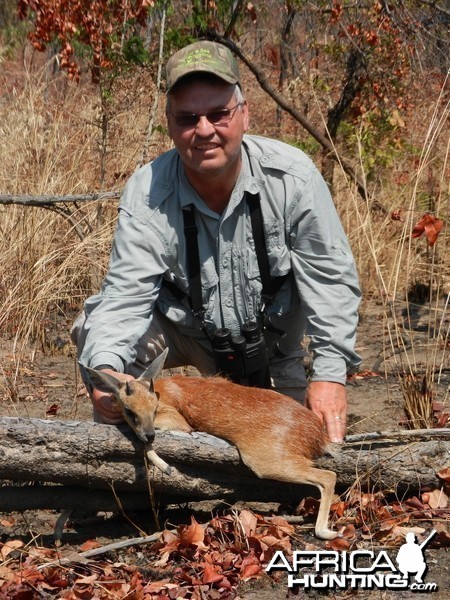 SHARPS GRYSBOK, MOZAMBIQUE, SEPTEMBER 2011