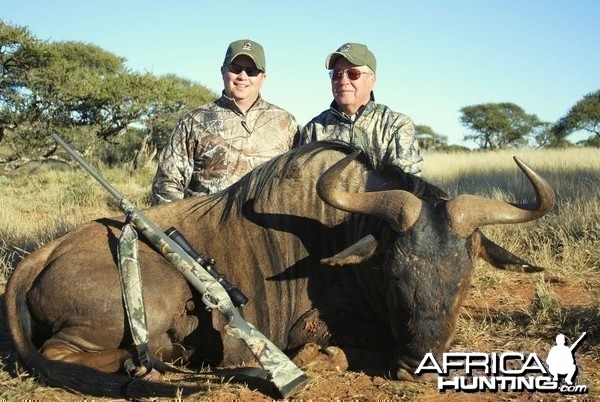 Blue Wildebeest hunted in South Africa