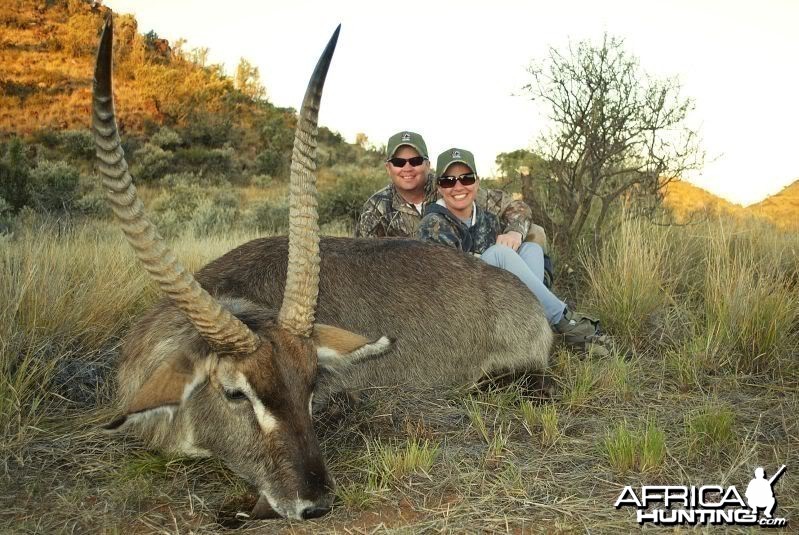 Waterbuck hunted in South Africa