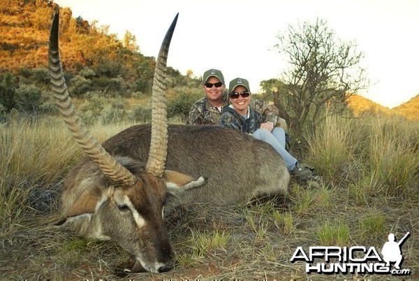 Waterbuck hunted in South Africa