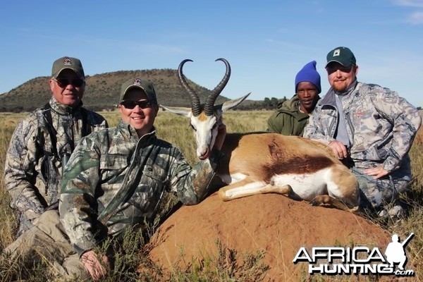 Springbok hunted in South Africa