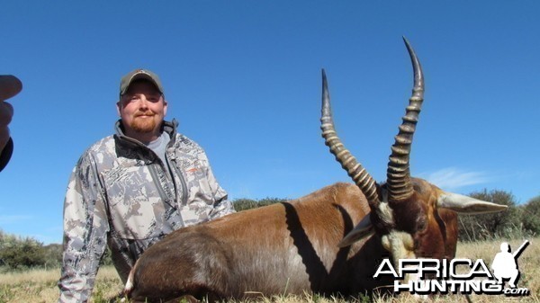 Blesbok hunted in South Africa