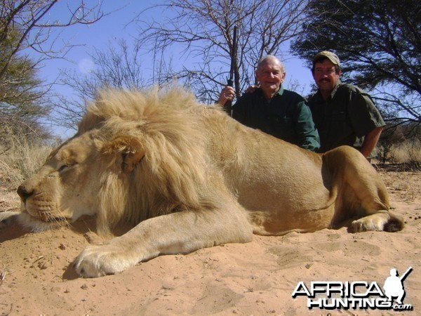 Hunting lion with Savanna hunting safaris