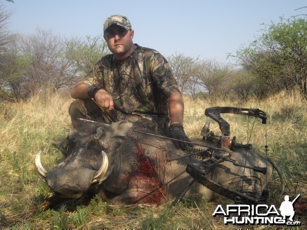 Bowhunting Warthog in Namibia