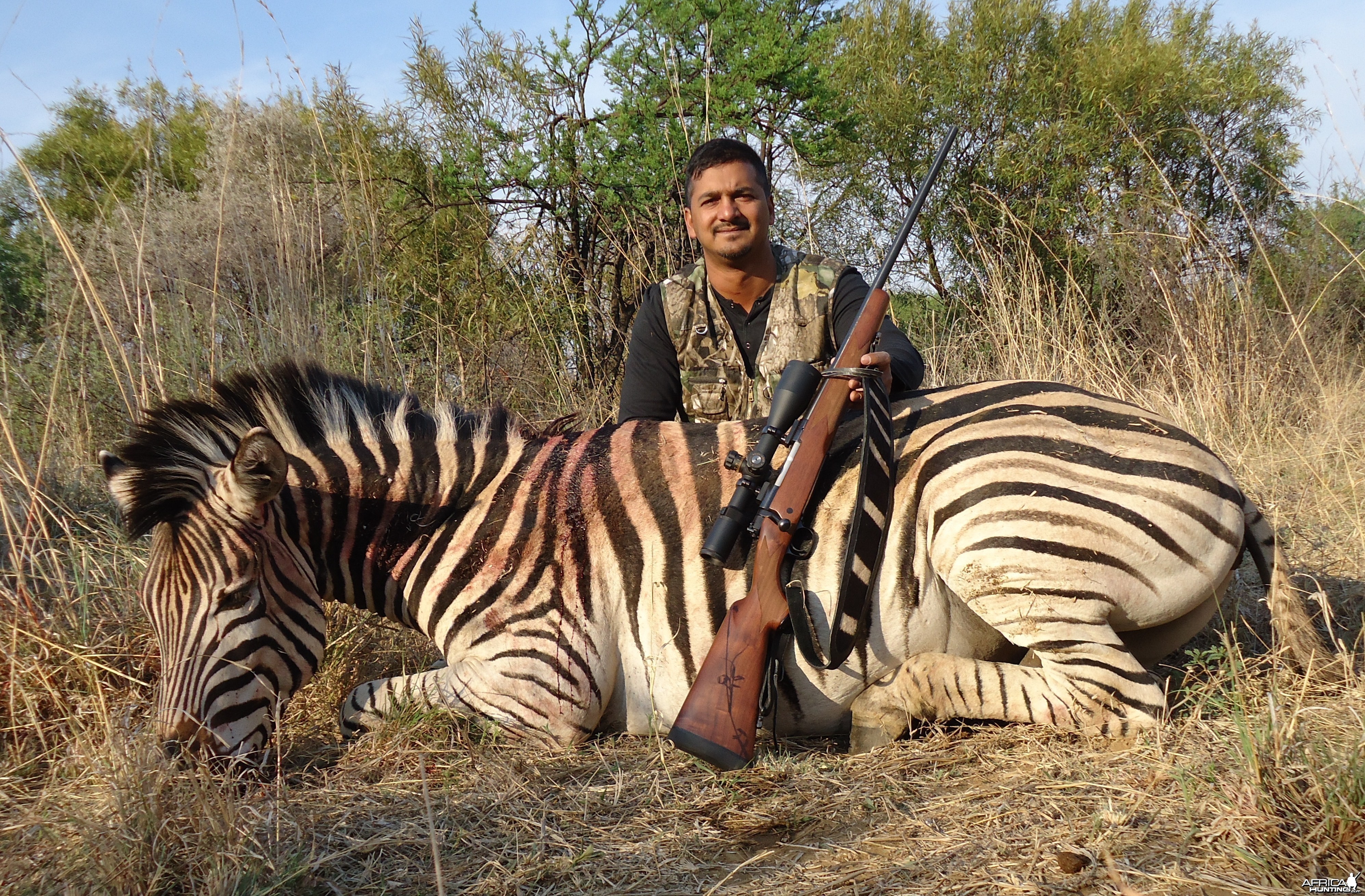 Zebra