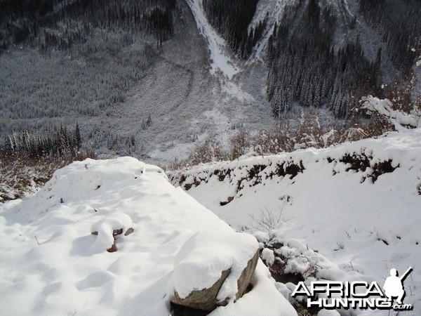 British Columbia Rocky Mountain Goat Hunt