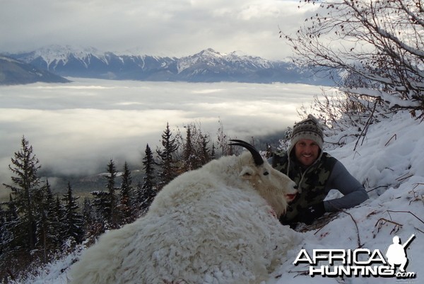 British Columbia Rocky Mountain Goat Hunt