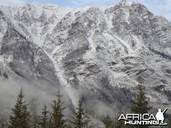 British Columbia Rocky Mountain Goat Hunt