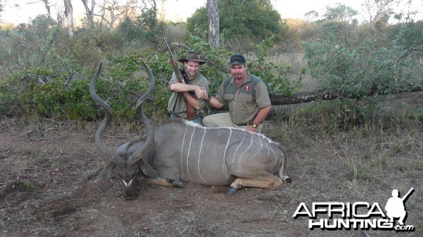 Kudu hunted in Zimbabwe