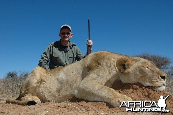 Hunting Lioness South Africa