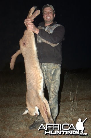 Hunting Caracal South Africa