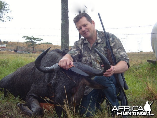 Got a very nice 29,5&quot; blue wildebeest today