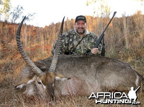 WATERBUCK BULL